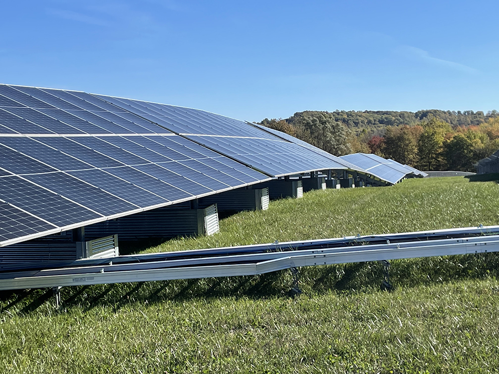 Solar panels against a blue sky on green grass in a community solar array